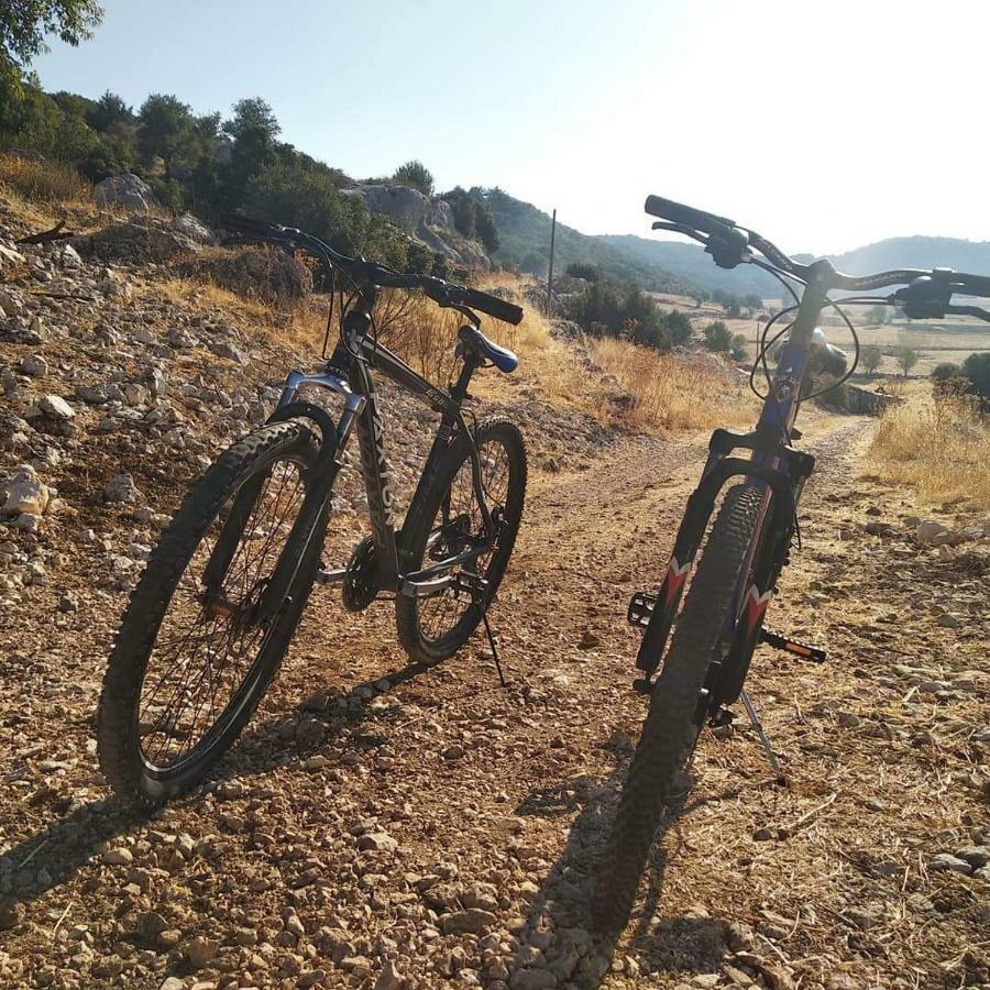קס Likya Sup Apart מראה חיצוני תמונה